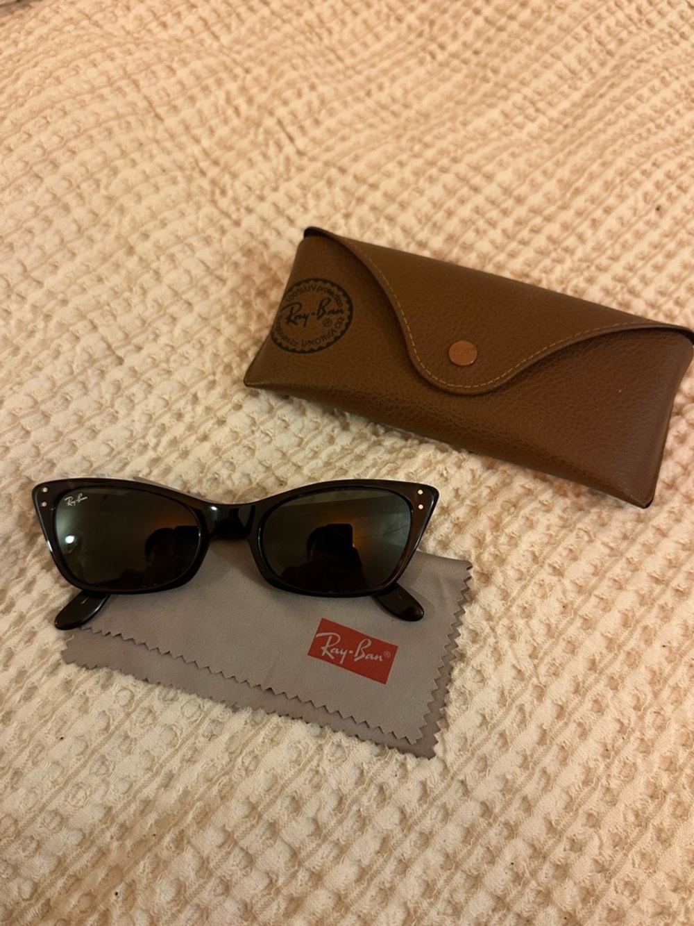 Ray-Ban Black Lady Burbank Cat-Eye Sunglasses with Case